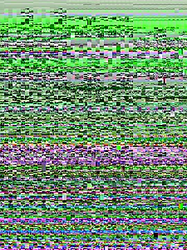 juanasnz99 live sex cam