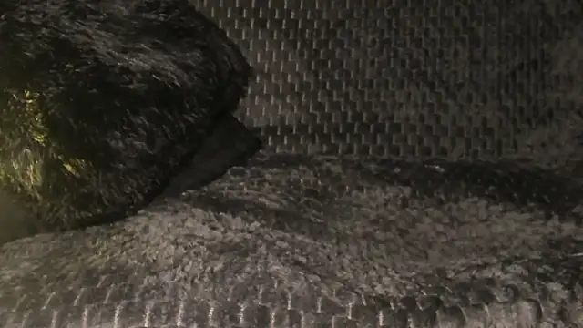 Teo_skinny live sex cam