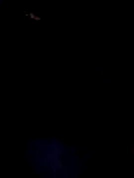 Efrain2090 live sex cam