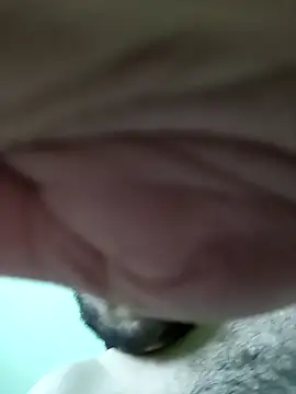 modysalpoy live sex cam