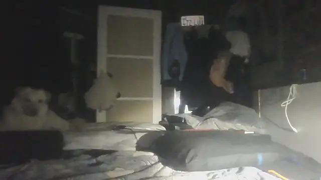 Prehistorixxx2686's cam snapshot