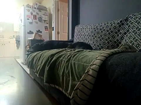 DevinToore's cam snapshot