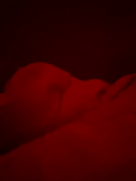 Festivitiesking1 live sex cam