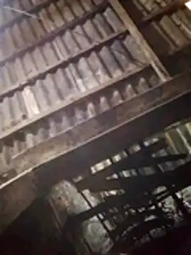 bela-hayes's cam snapshot