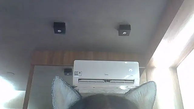 SkinnyKitten live sex cam