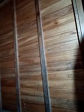 tulipsexy live sex cam