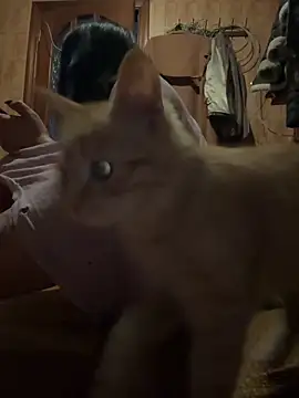 Naughtbaby_2025's cam snapshot