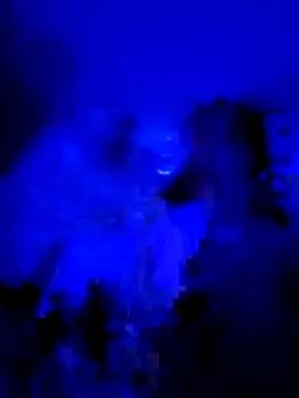 vladopen live sex cam