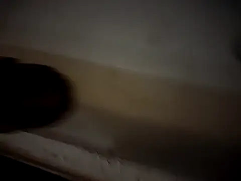 lucy_sluppy_hard's cam snapshot