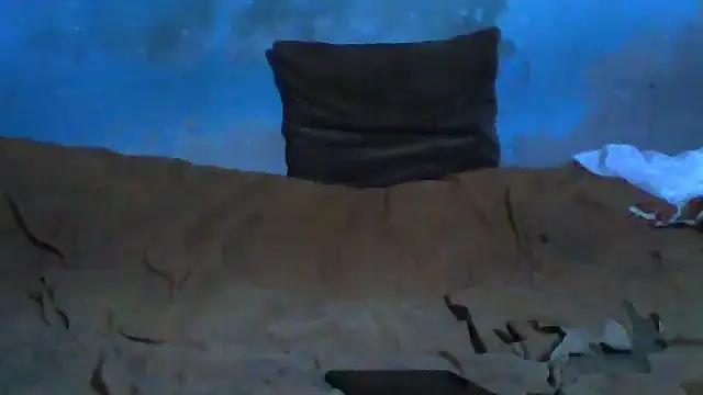 little__joy live sex cam