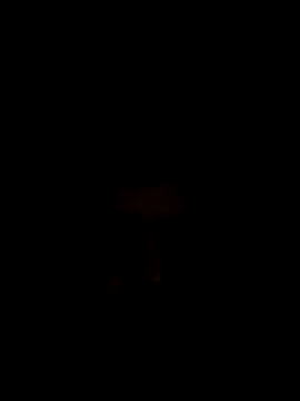 shrreyyyy live sex cam