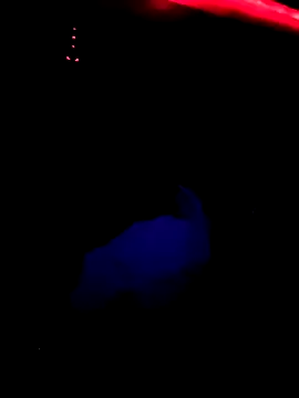 CeceilaMoon's cam snapshot