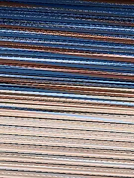 Noelle-e's cam snapshot