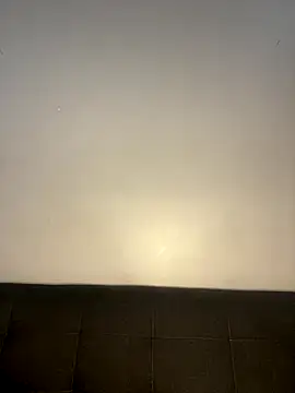 InkLady444 live sex cam