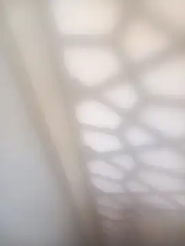 bullut06 live sex cam