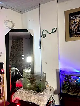 CRAZY-BOY99 live sex cam