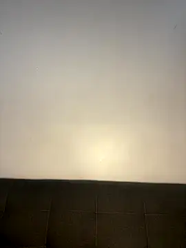 InkLady444 live sex cam