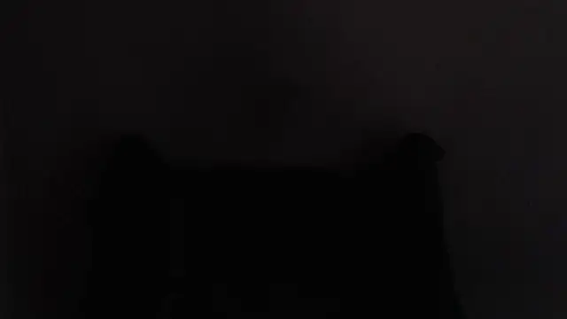 AlexNudo live sex cam