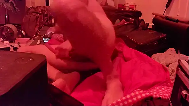 jasoncali305 live sex cam