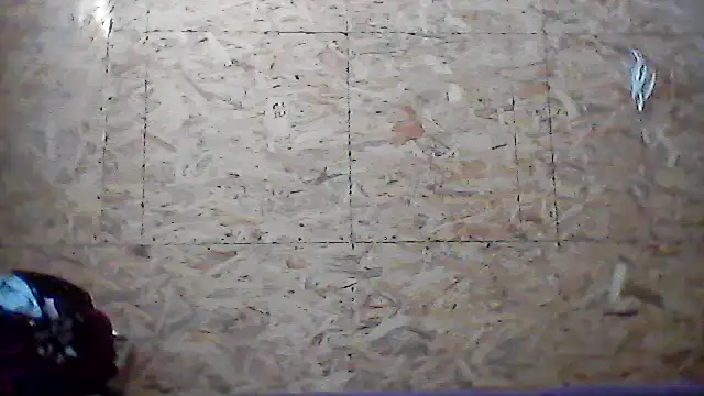 Milana38's cam snapshot