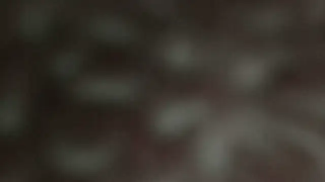 beautylovess live sex cam