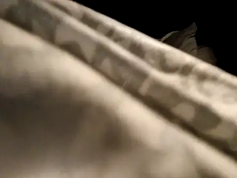 deepstroker42071 live sex cam