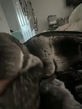 Furdale's cam snapshot