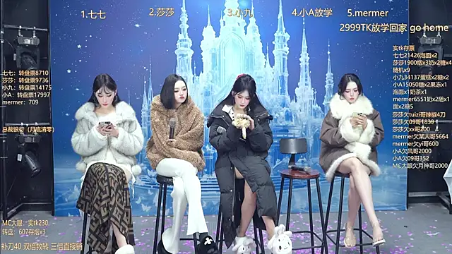 SK010's cam snapshot