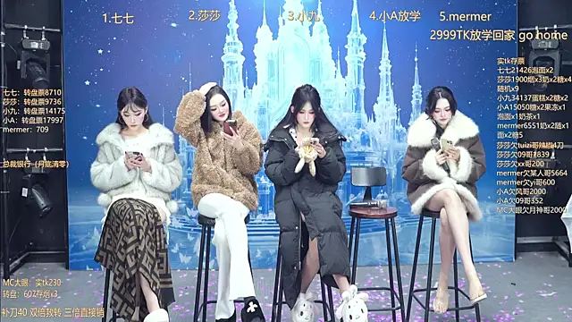 SK010's cam snapshot