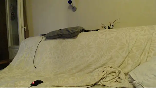 larawet's cam snapshot