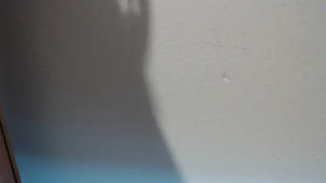 Pamela-StripX live sex cam