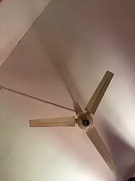 Ave_de_Agua's cam snapshot