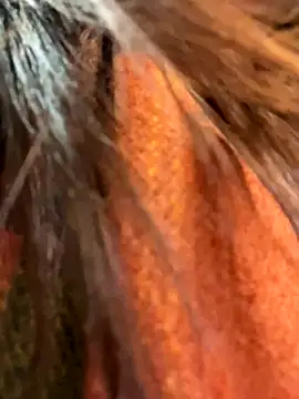 Molly-xiao live sex cam