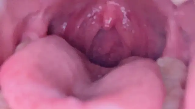 LT-333's cam snapshot