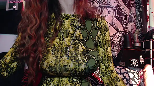 Silentmary's cam snapshot