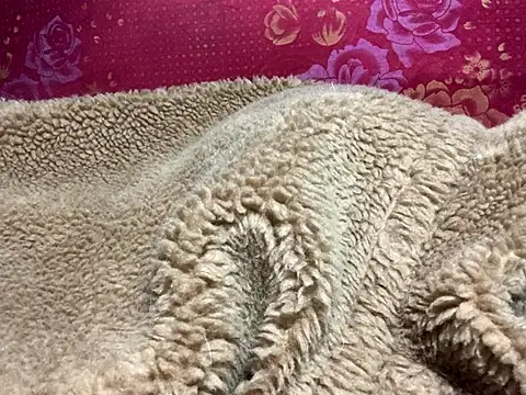 misu09's cam snapshot