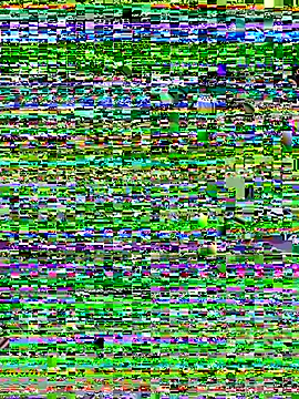 Throatgoat2026's cam snapshot