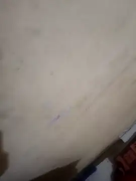 Honey_lily-93's cam snapshot