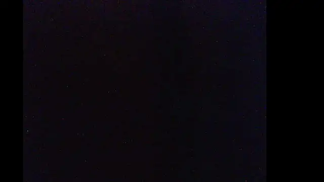 pietje1991 live sex cam