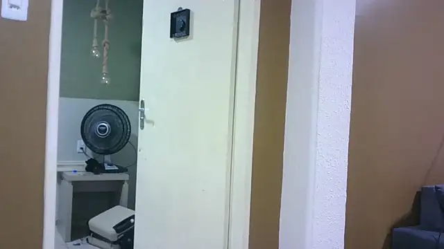 pornstarbrezillian live sex cam