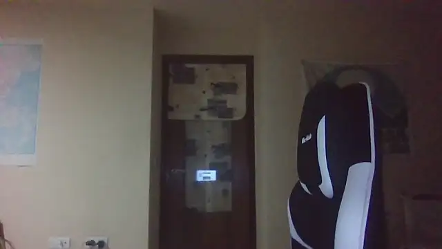 llopaco's cam snapshot