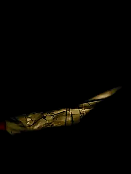 Always_foryou live sex cam