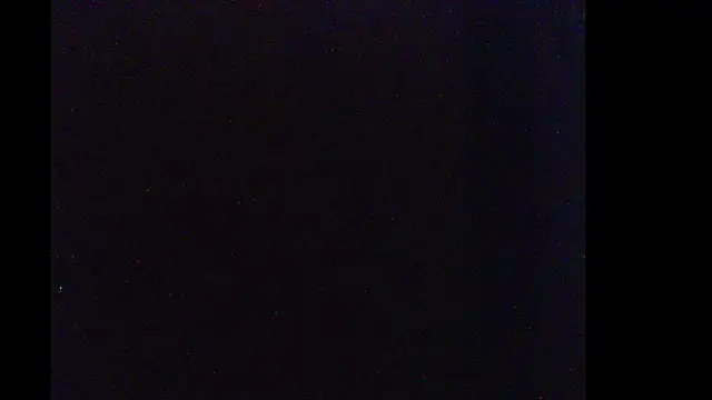 pietje1991 live sex cam