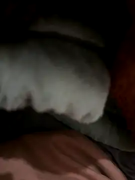 satisfyursoul live sex cam