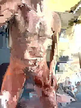 ValuedConcept687 live sex cam