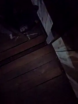 Squirrel-Pear's cam snapshot