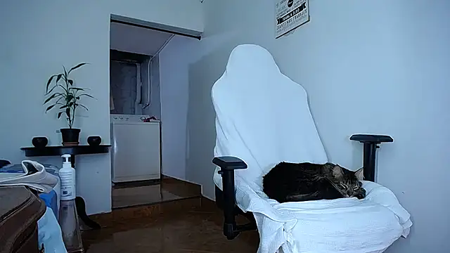 diamond_black00 live sex cam