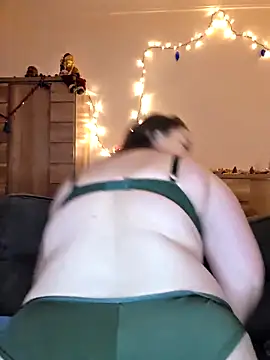 cristalines's cam snapshot