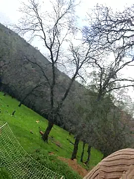 Magical_Misha live sex cam