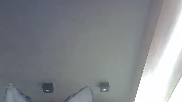 SkinnyKitten live sex cam